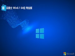 ʿwin8.164λɫv2025.01