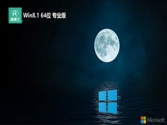 ʿwin8.1⼤64λɫv2025.01