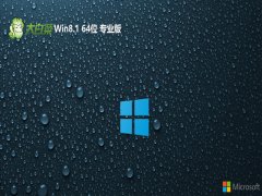 ײwin8.1 64λٰv2025.01