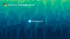 ϵͳ֮Windows11 ѡװ64λ 2021.09